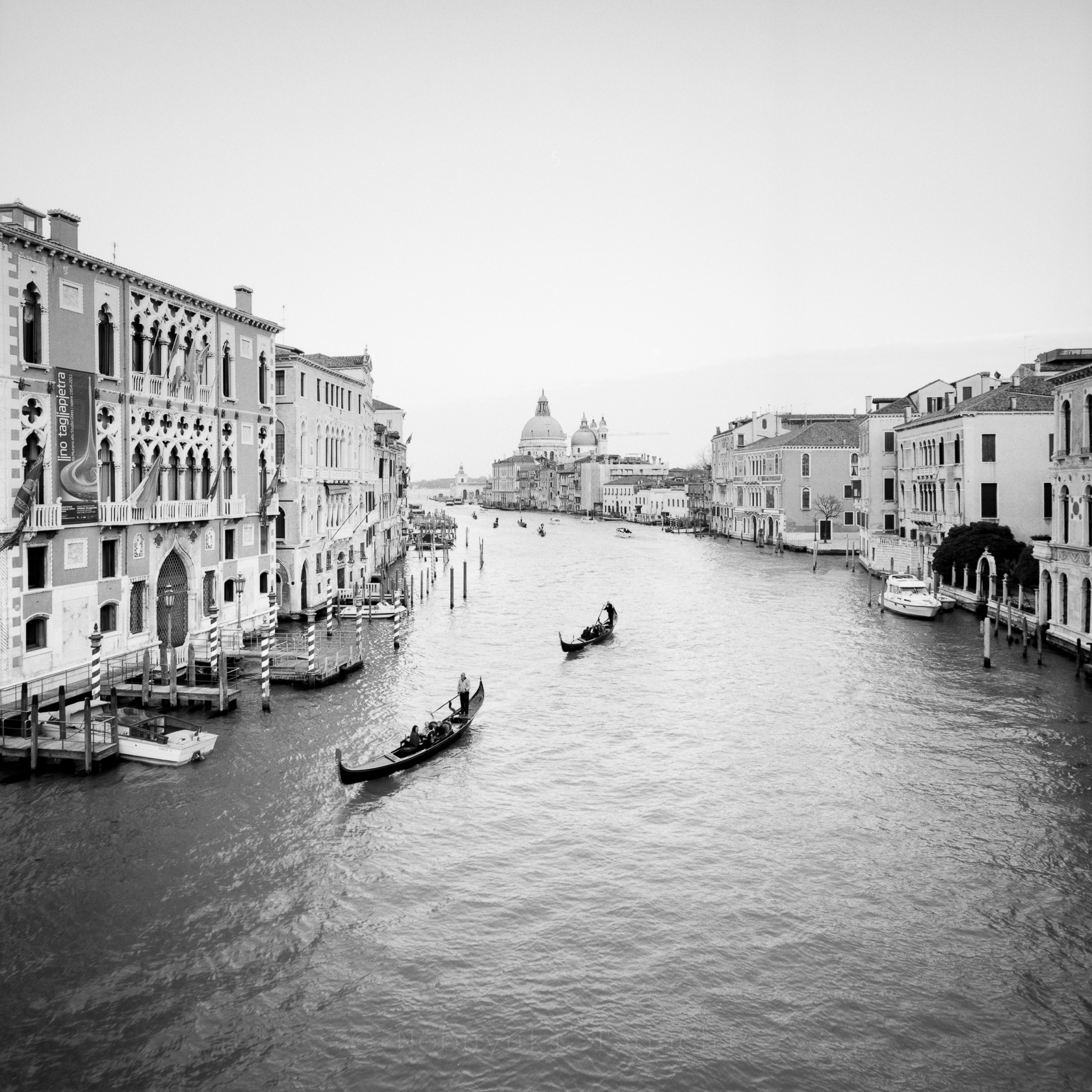 Santa Maria della Salute from Ponte Accademia II, Venice 2011 - Venice Italy 2011