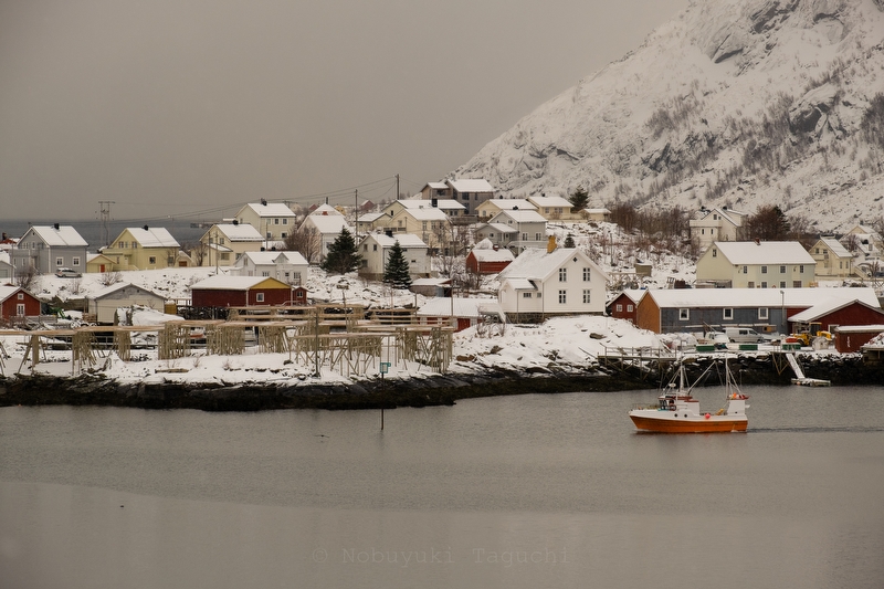 Norway Lofoten Landscape Photography - Photo 4113