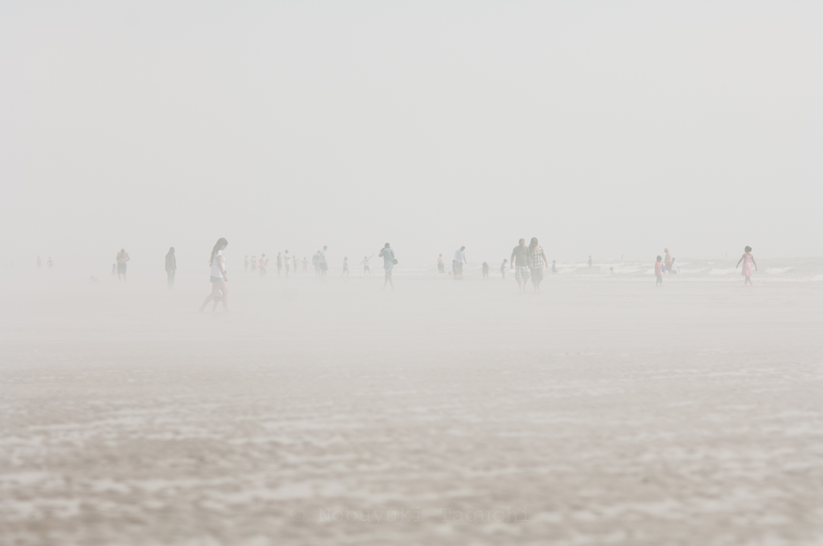 Foggy Days - Photo 4186