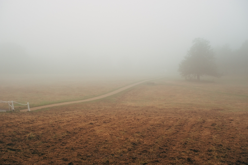 Foggy Days - Photo 4175