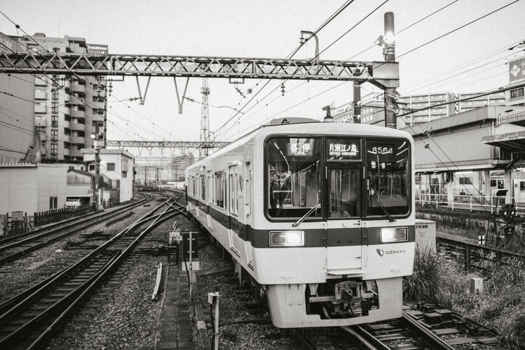 Day in Enoshima - Photo 4382