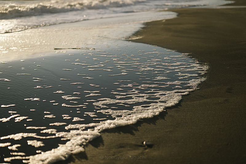 The Beaches of Shichirigahama | Photo:301