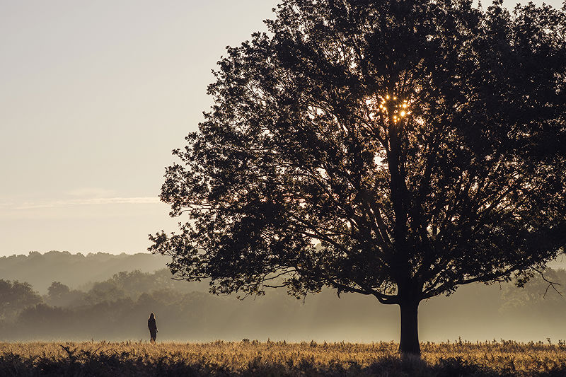 Lifestyle and Landscape Photography | Photo:625