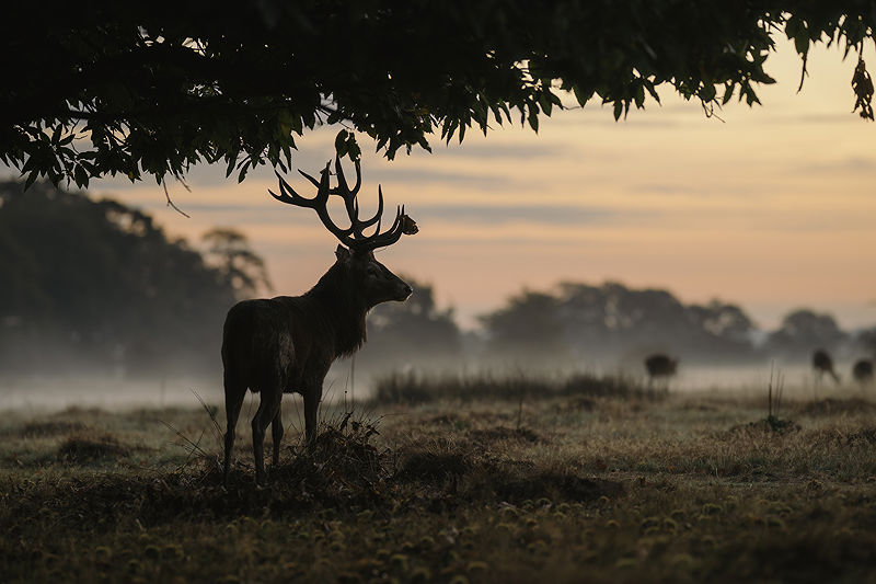 Lifestyle and Landscape Photography | Photo:626