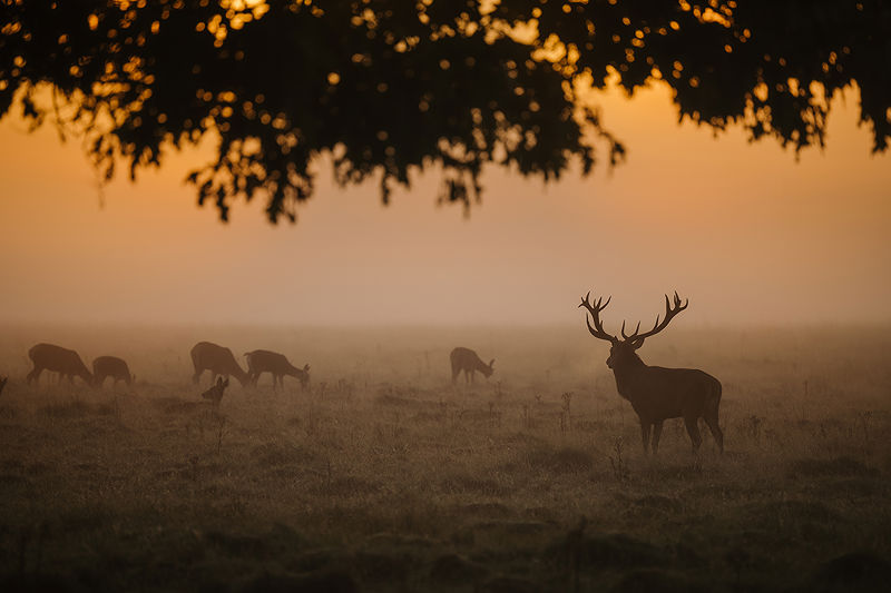 Lifestyle and Landscape Photography | Photo:628