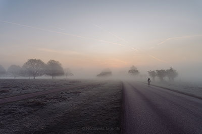 Lifestyle and Landscape Photography | Photo:421