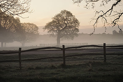 Lifestyle and Landscape Photography | Photo:485