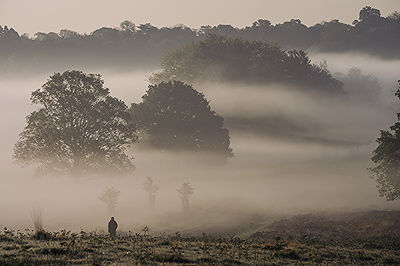 Lifestyle and Landscape Photography | Photo:504