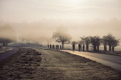 Cyclists in Richmond Park