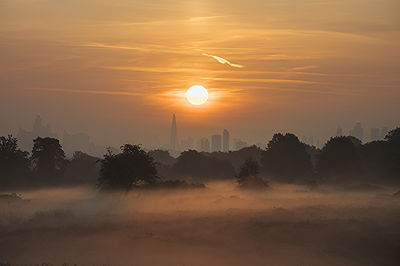 Lifestyle and Landscape Photography | Photo:506