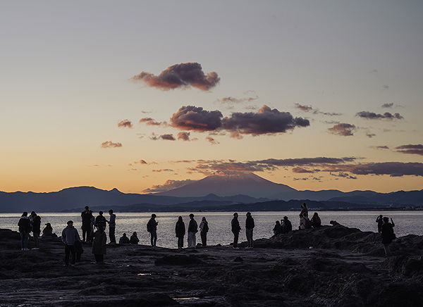 The Beaches of Shichirigahama