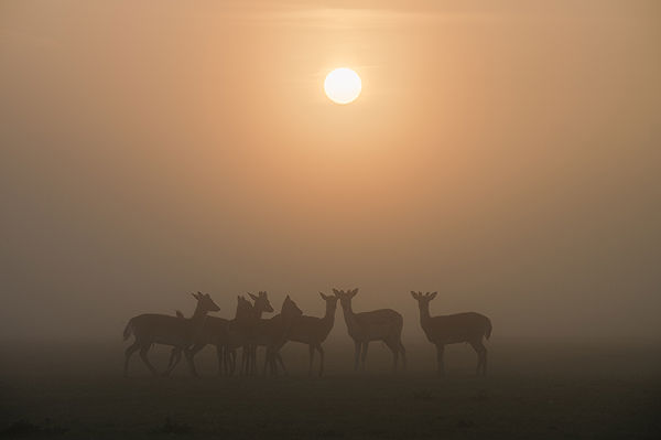 Lifestyle and Landscape Photography