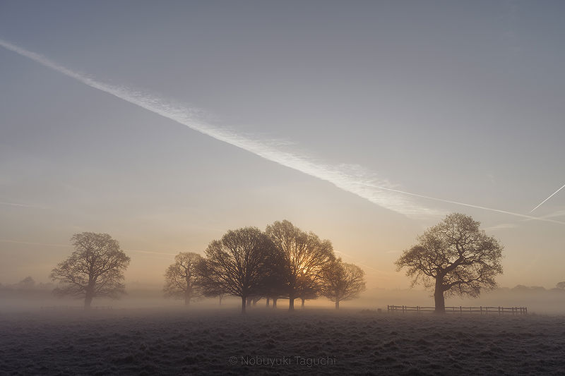Lifestyle and Landscape Photography | Photo:411
