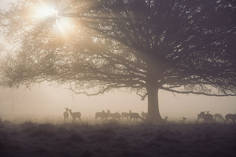 Lifestyle and Landscape Photography | Photo:414