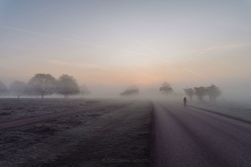Lifestyle and Landscape Photography | Photo:421