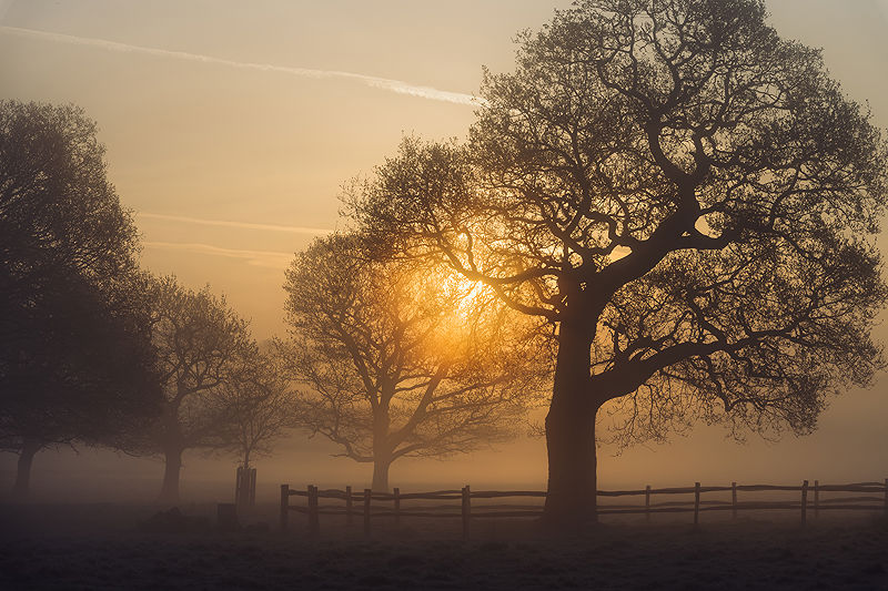 Lifestyle and Landscape Photography | Photo:423