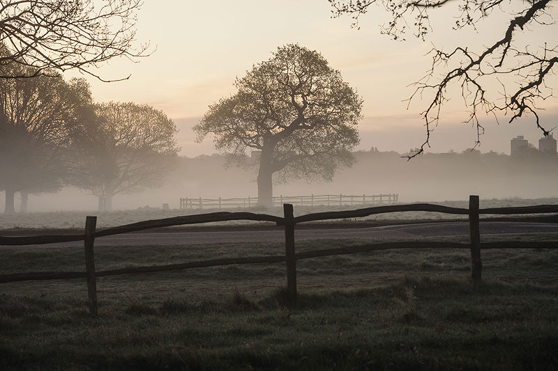 Lifestyle and Landscape Photography | Photo:485