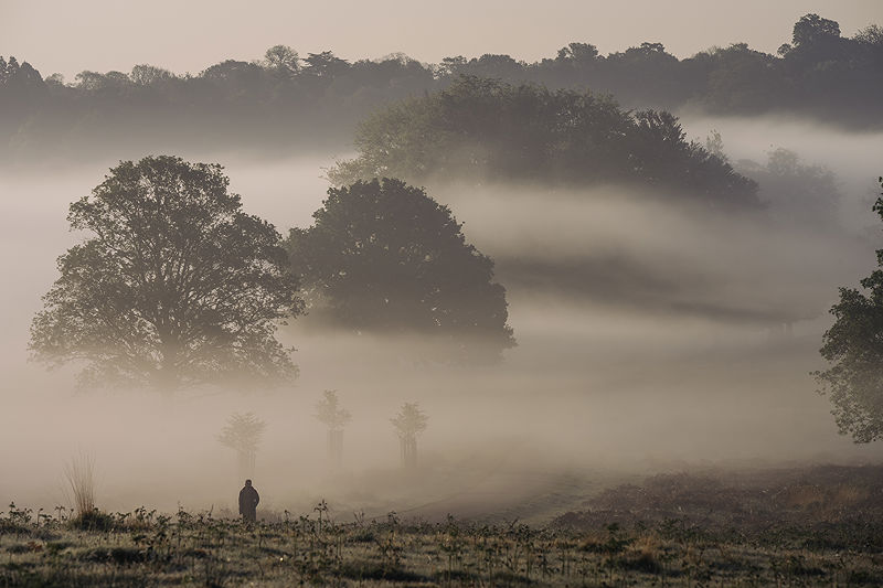 Lifestyle and Landscape Photography | Photo:504