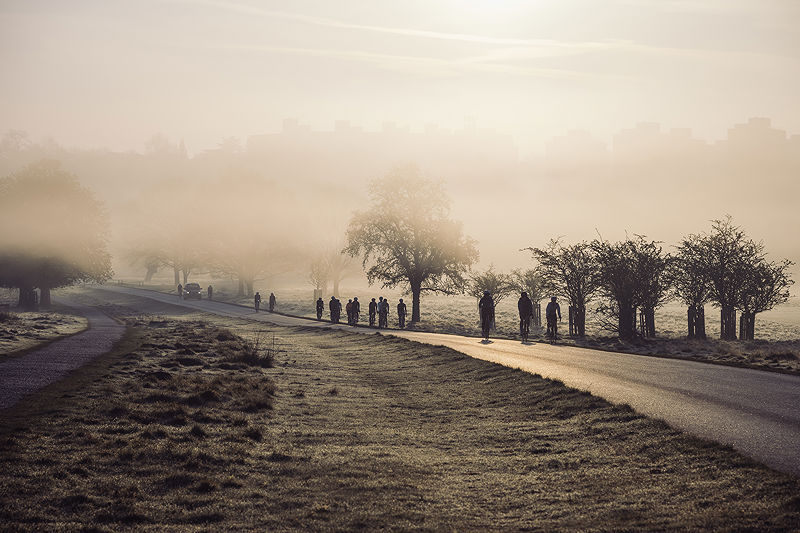 Cyclists in Richmond Park