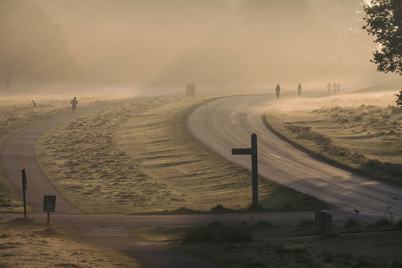 Lifestyle and Landscape Photography | Photo:509