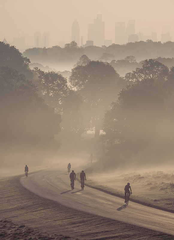 Cyclists passing through Richmond Park on a misty morning