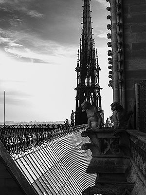 Travel Photography in Paris | Photo:564