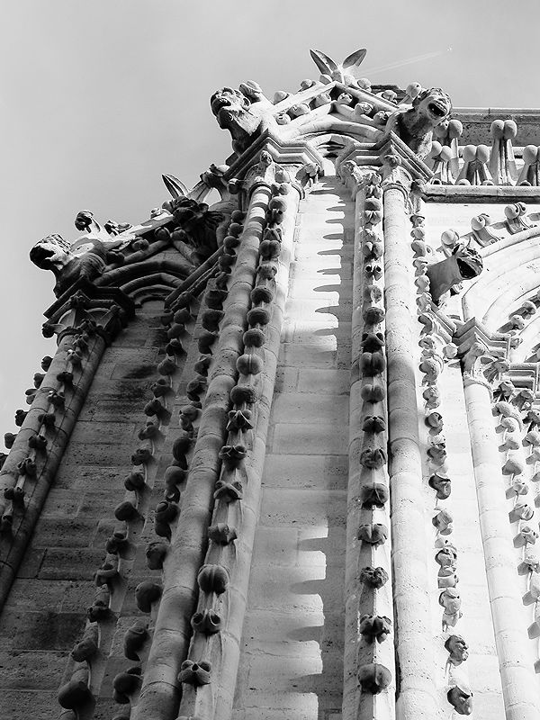 Travel Photography in Paris | Photo:562
