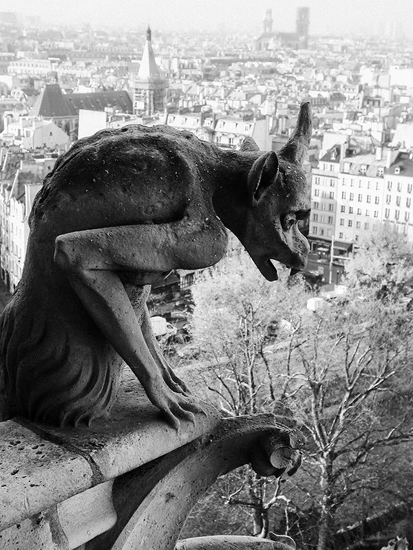 Travel Photography in Paris | Photo:563