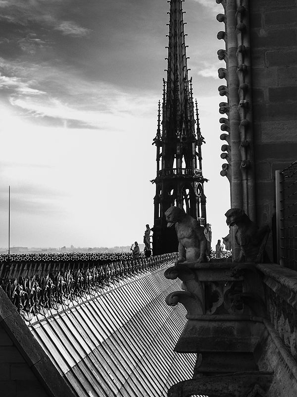 Travel Photography in Paris | Photo:564