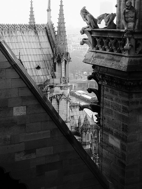 Travel Photography in Paris | Photo:565
