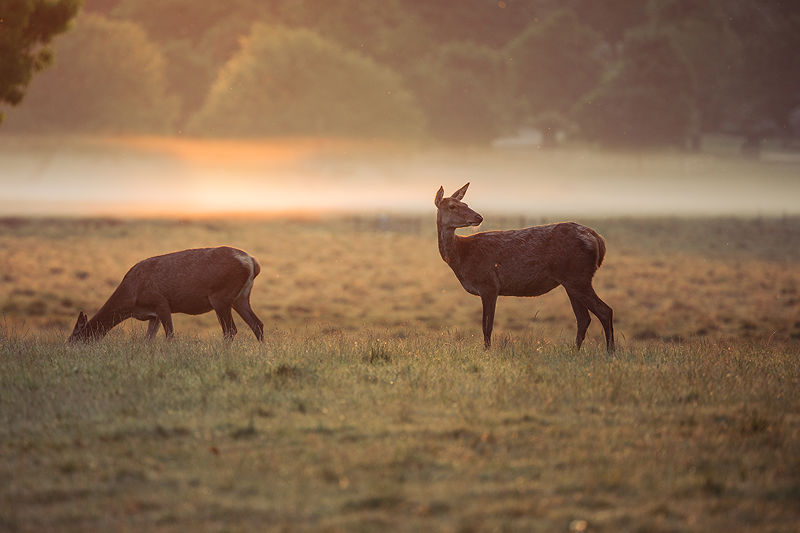 Lifestyle and Landscape Photography | Photo:566