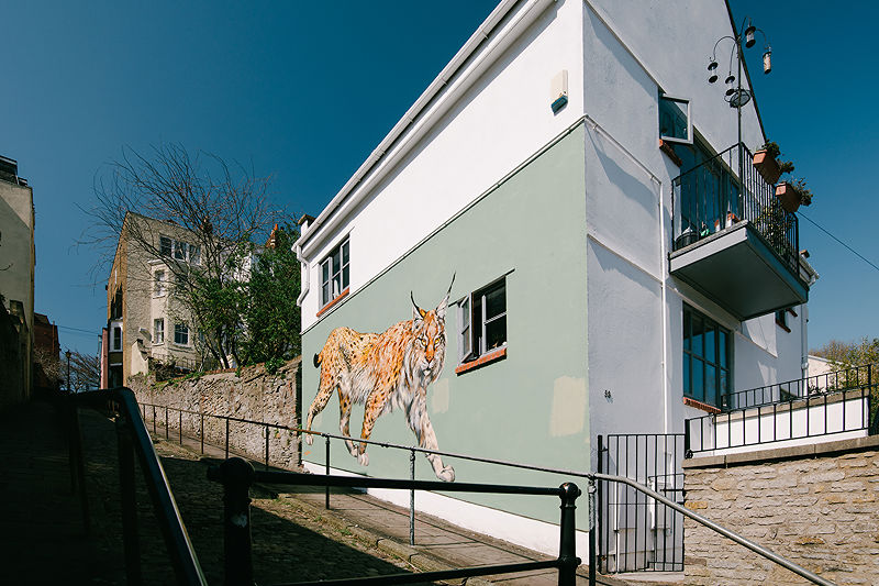  Urban Street photography  | Photo:580