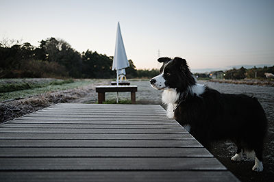 Scents of My Home in Japan | Photo:632
