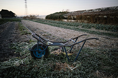 Scents of My Home in Japan | Photo:634