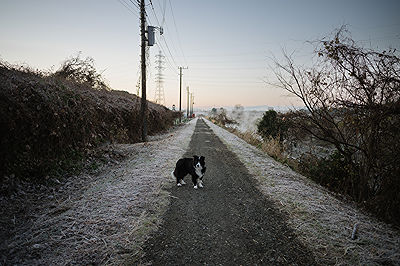 Scents of My Home in Japan | Photo:635