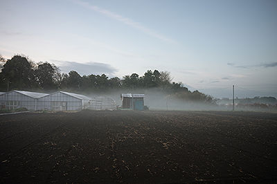 Scents of My Home in Japan | Photo:640