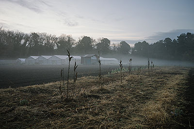 Scents of My Home in Japan | Photo:641