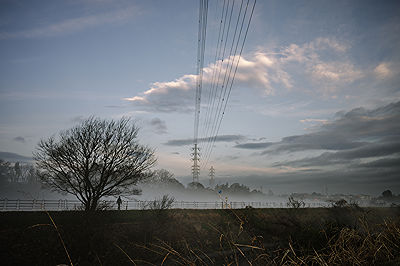 Scents of My Home in Japan | Photo:642