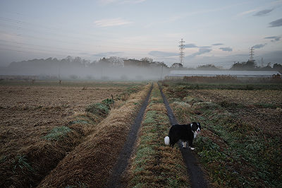 Scents of My Home in Japan | Photo:643
