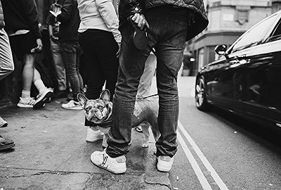 London Street  | Photo:695