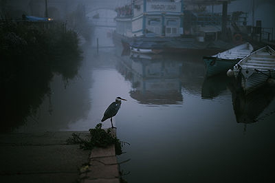 Photography in Richmond | Morning scenes | Photo:718