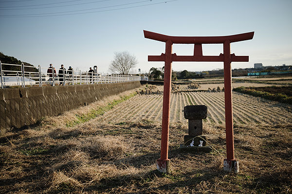 Scents of My Home in Japan