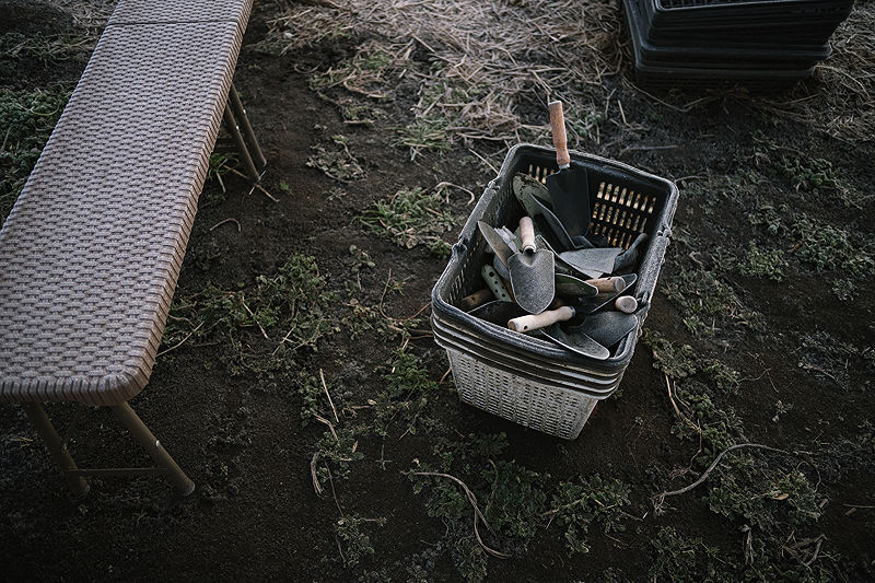 Scents of My Home in Japan | Photo:633