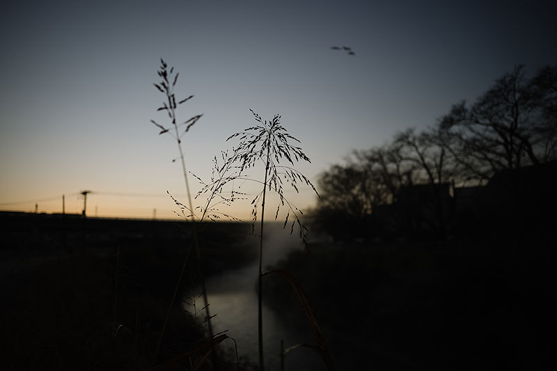 Scents of My Home in Japan | Photo:638