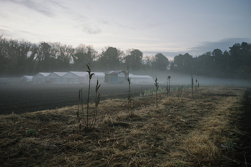 Scents of My Home in Japan | Photo:641