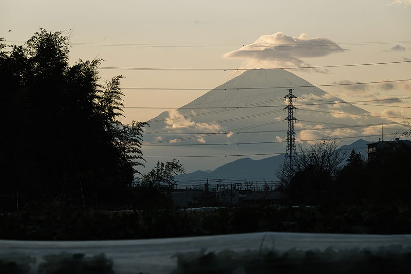 Scents of My Home in Japan | Photo:648