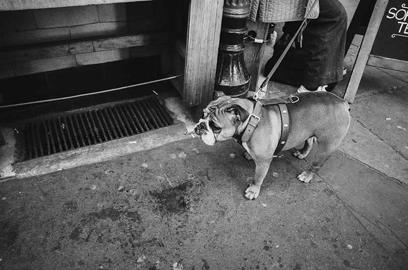 London Street  | Photo:673