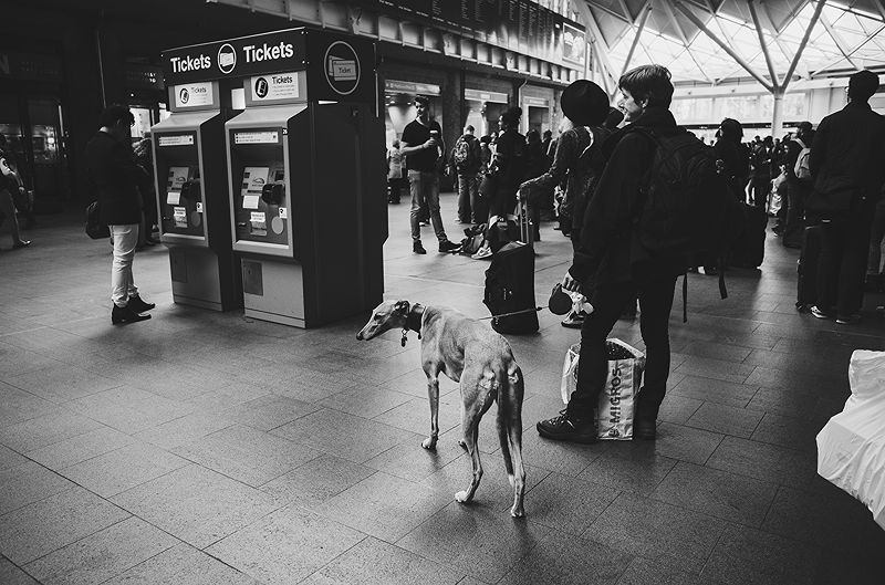 London Street  | Photo:676
