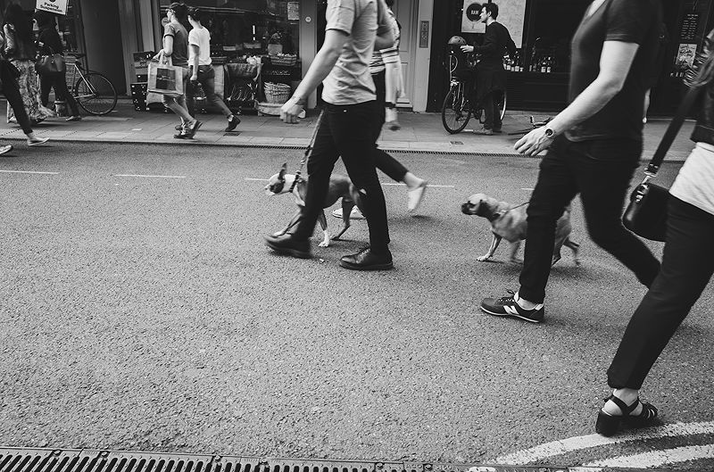 London Street  | Photo:677